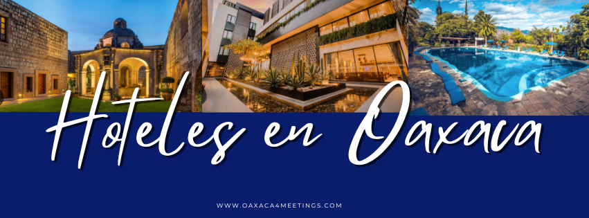 publicacion